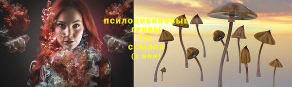 дживик Армянск