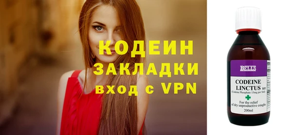 прущие грибы Гусь-Хрустальный